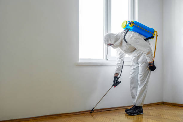 Best Pest Control for Homes  in USA